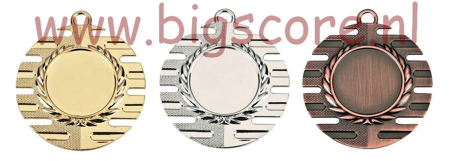 E 4007 Medaille G/Z/B compleet OP=OP!!